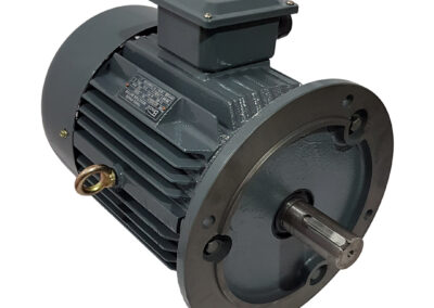 A-YC Series Single Phase Asynchronous Motor