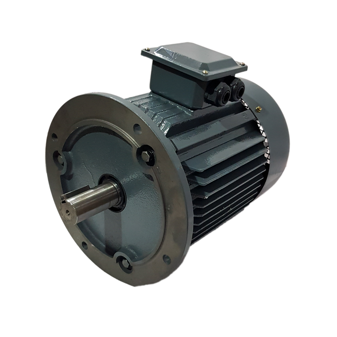 Flange-Mounted-Motor-B5_02
